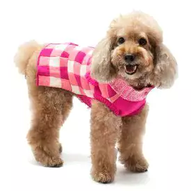 Gingham Dog Sweater Dress