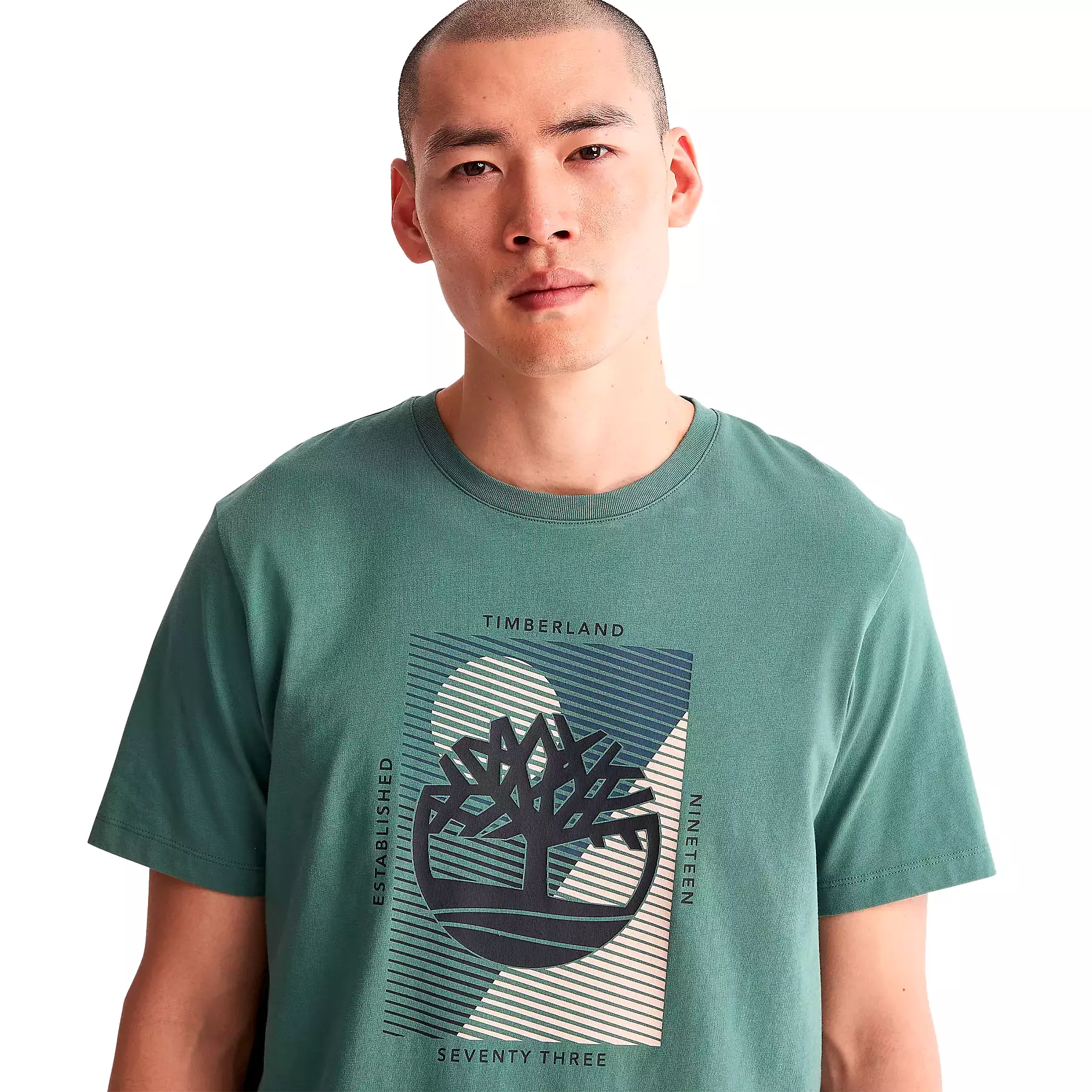 Timberland Mens Tree Logo T-Shirt - Short Sleeved